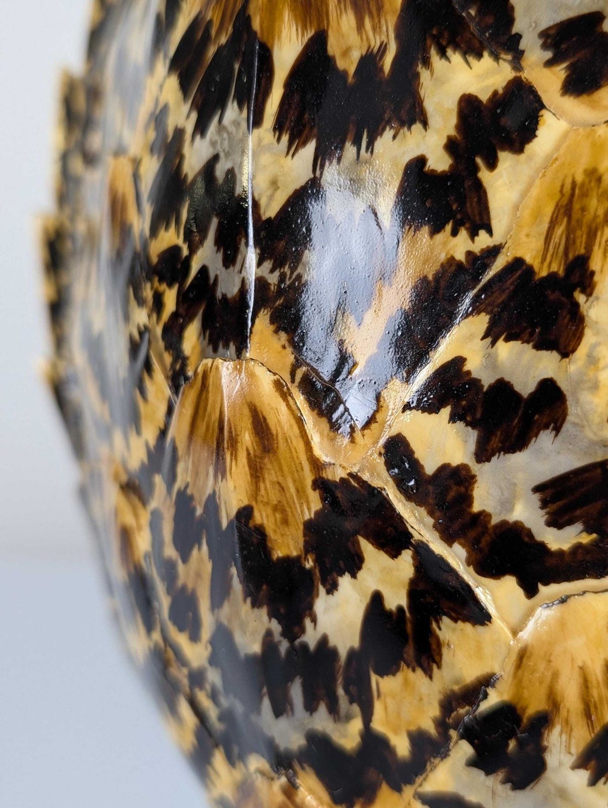 Lighting Turtle Shell Table Lamp In Resin, Maison Jansen, 1970s photo