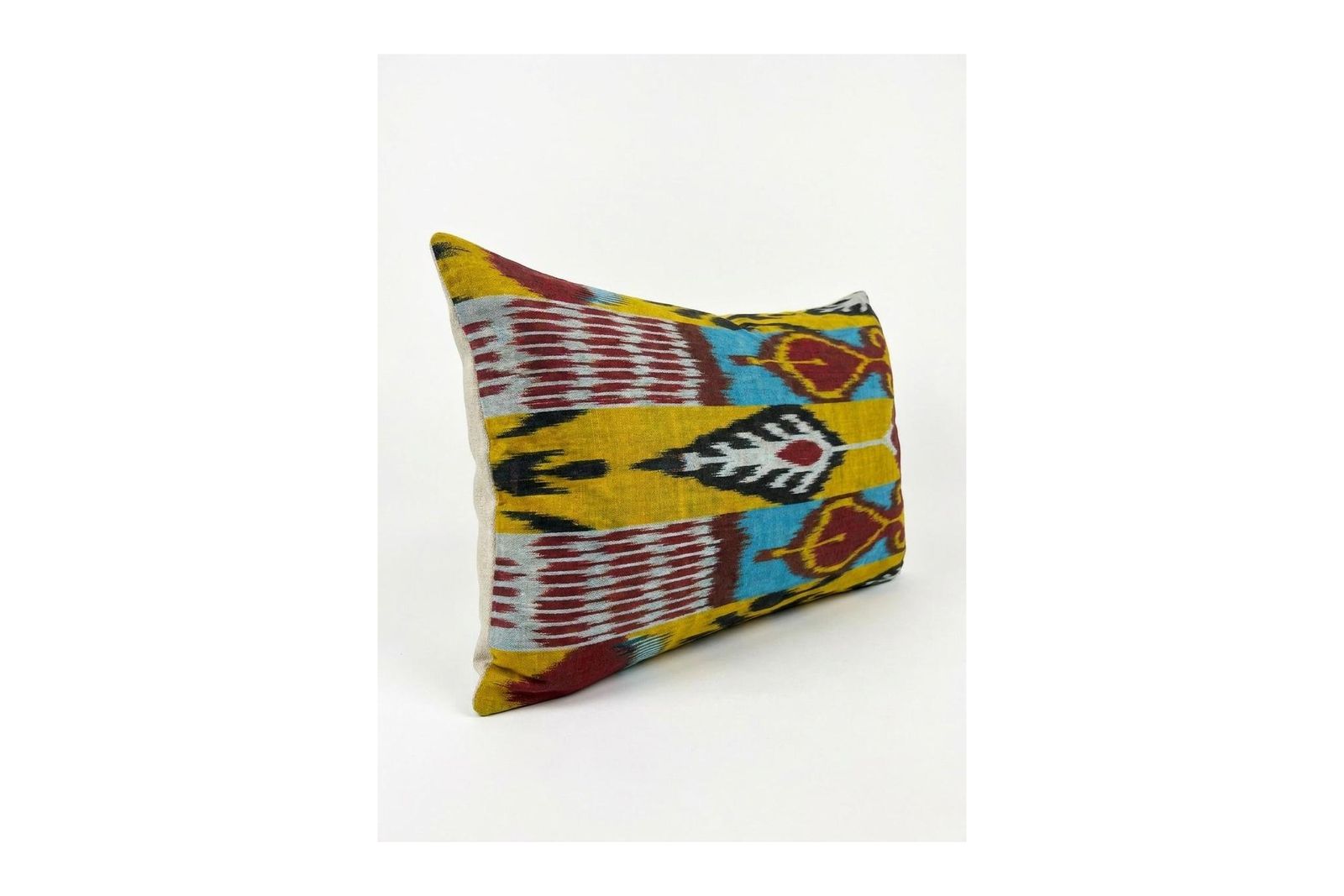 Housse de coussin lombaire en velours de soie, 33 x 48 cm photo furniture