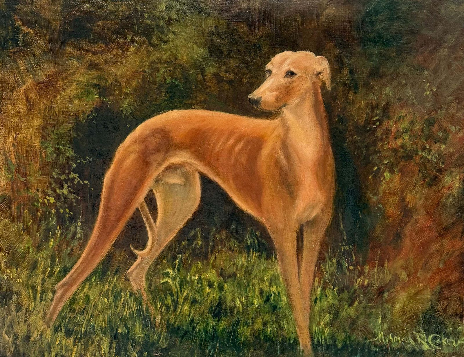 Portrait d'un lévrier fauve dans un paysage boisé, école anglaise, peinture de sport à l'huile photo furniture