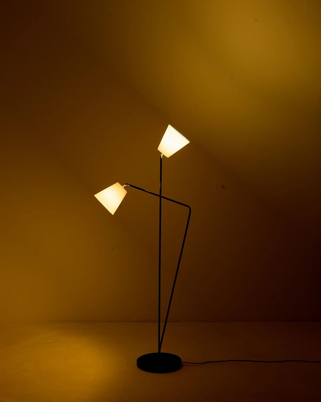 Two Armed Lamp, 1950s photo 725.0