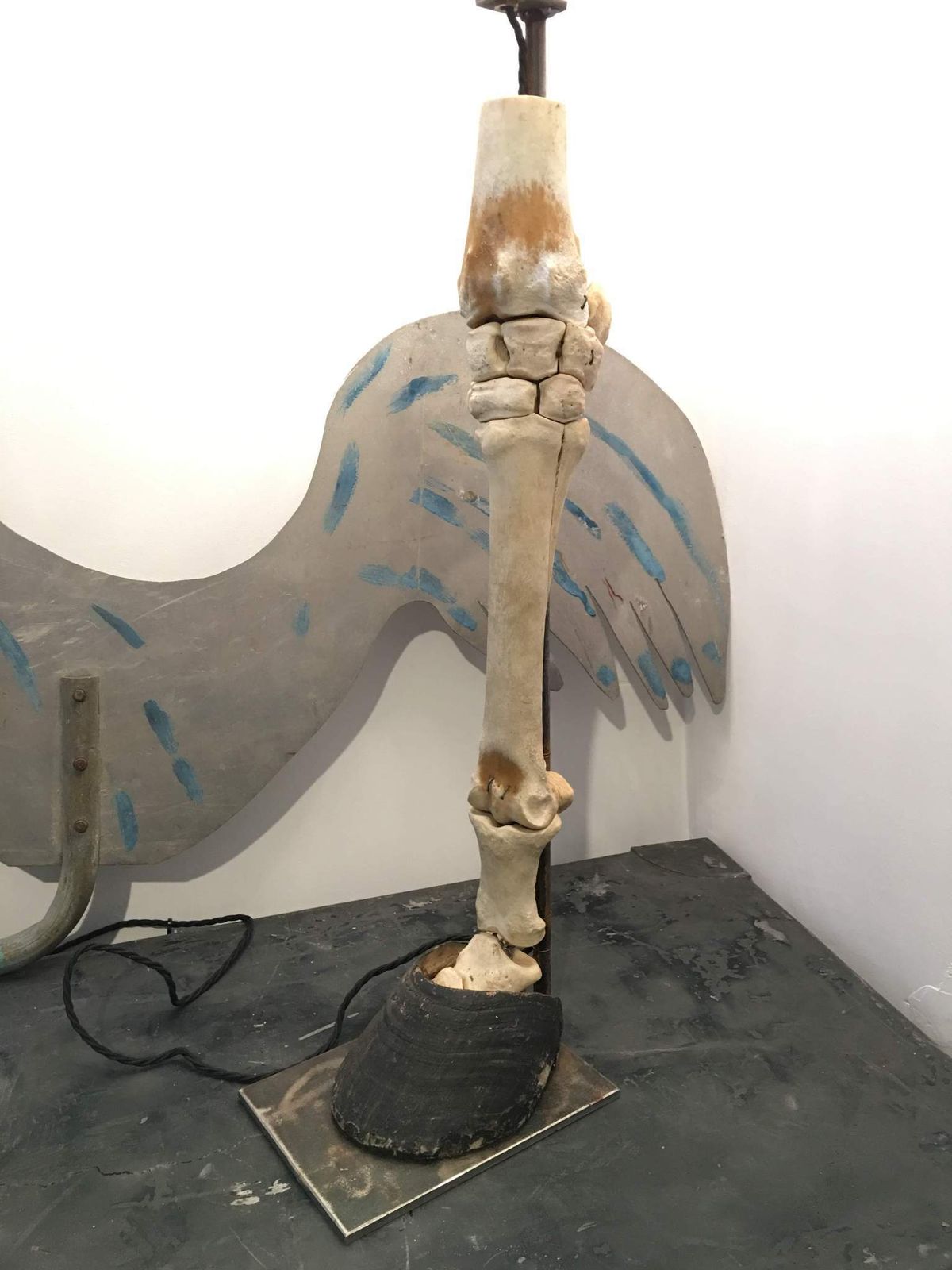 Horses Skeleton Leg With Hoof Upcycled Lamp Taxidermy photo furniture