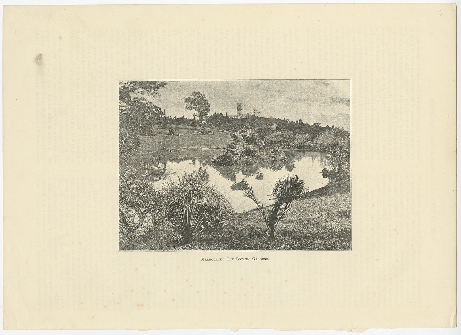 Antique Print Of The Royal Botanic Gardens Of Melbourne (C.1890)