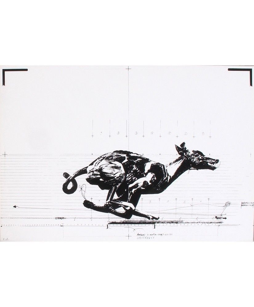 Screenprint   Vladimir Velickovic   Dog (Animal In Motion) photo furniture