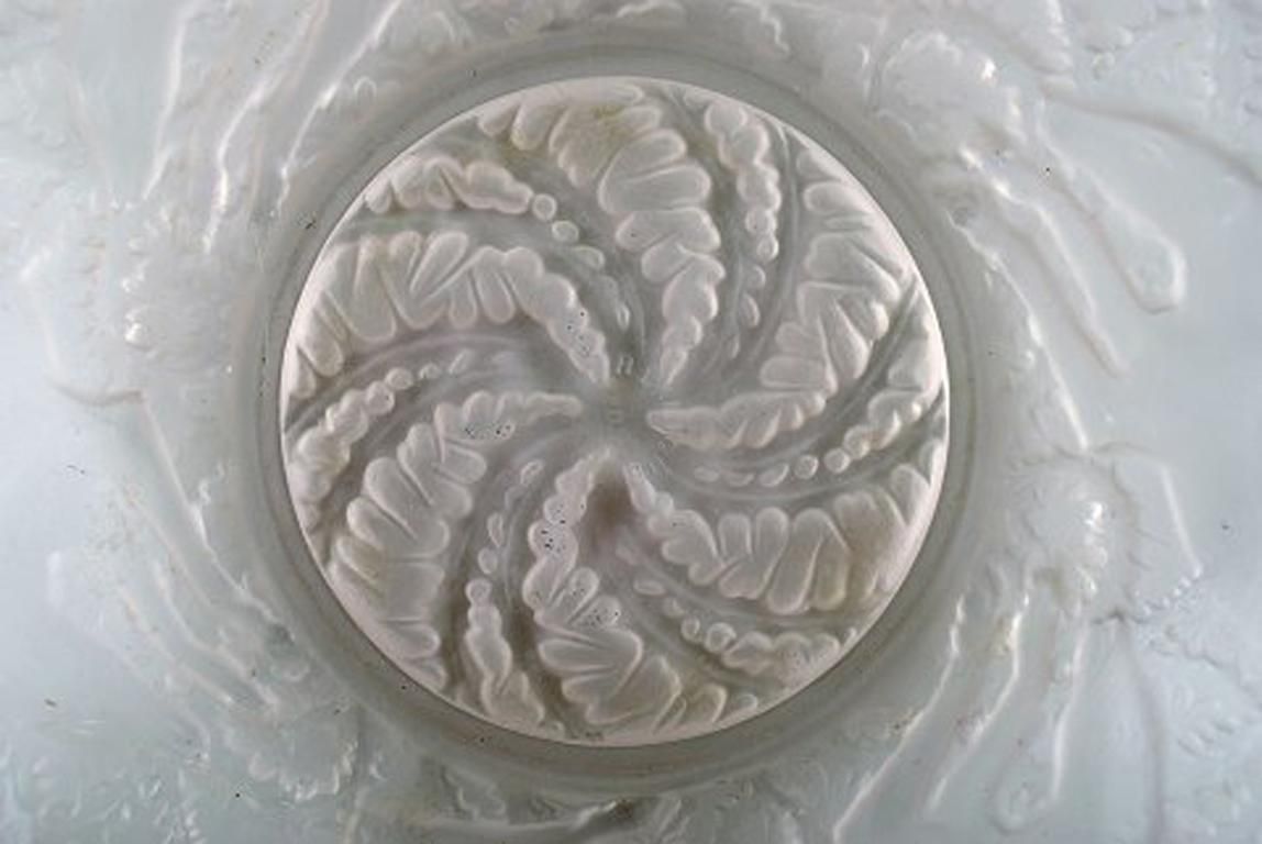 Early And Rare René Lalique "Chiens" Art Deco Bowl In Art Glass, 1930s photo Home Decor