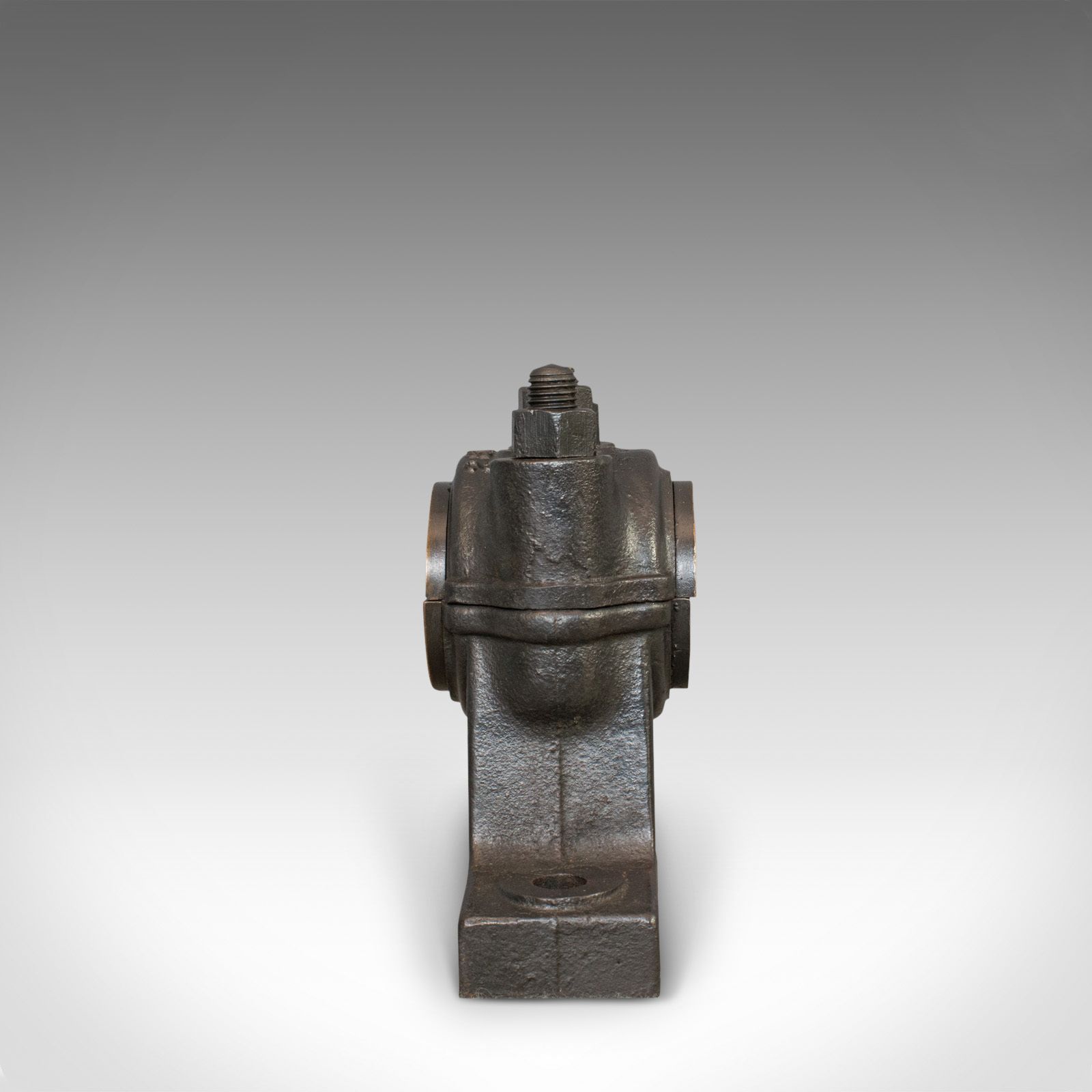 Antique Bearing, Graphite, English, Cast Iron, Ornament, Paperweight, Victorian photo for sale