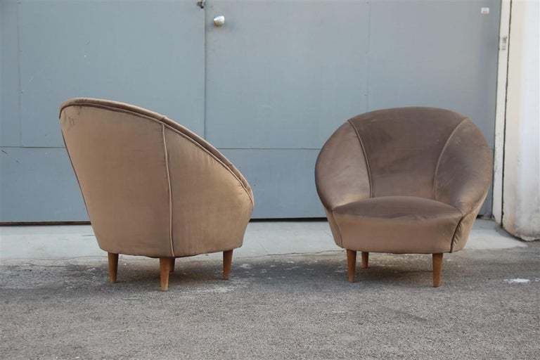 Federico Munari Midcentury Armchairs Bronze Velvet Curved Wooden Feet, 1950s photo Furniture