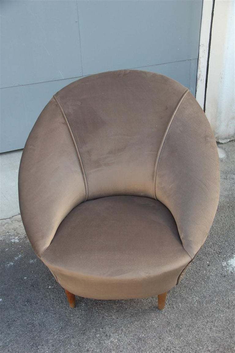 Federico Munari Midcentury Armchairs Bronze Velvet Curved Wooden Feet, 1950s photo 3360.0