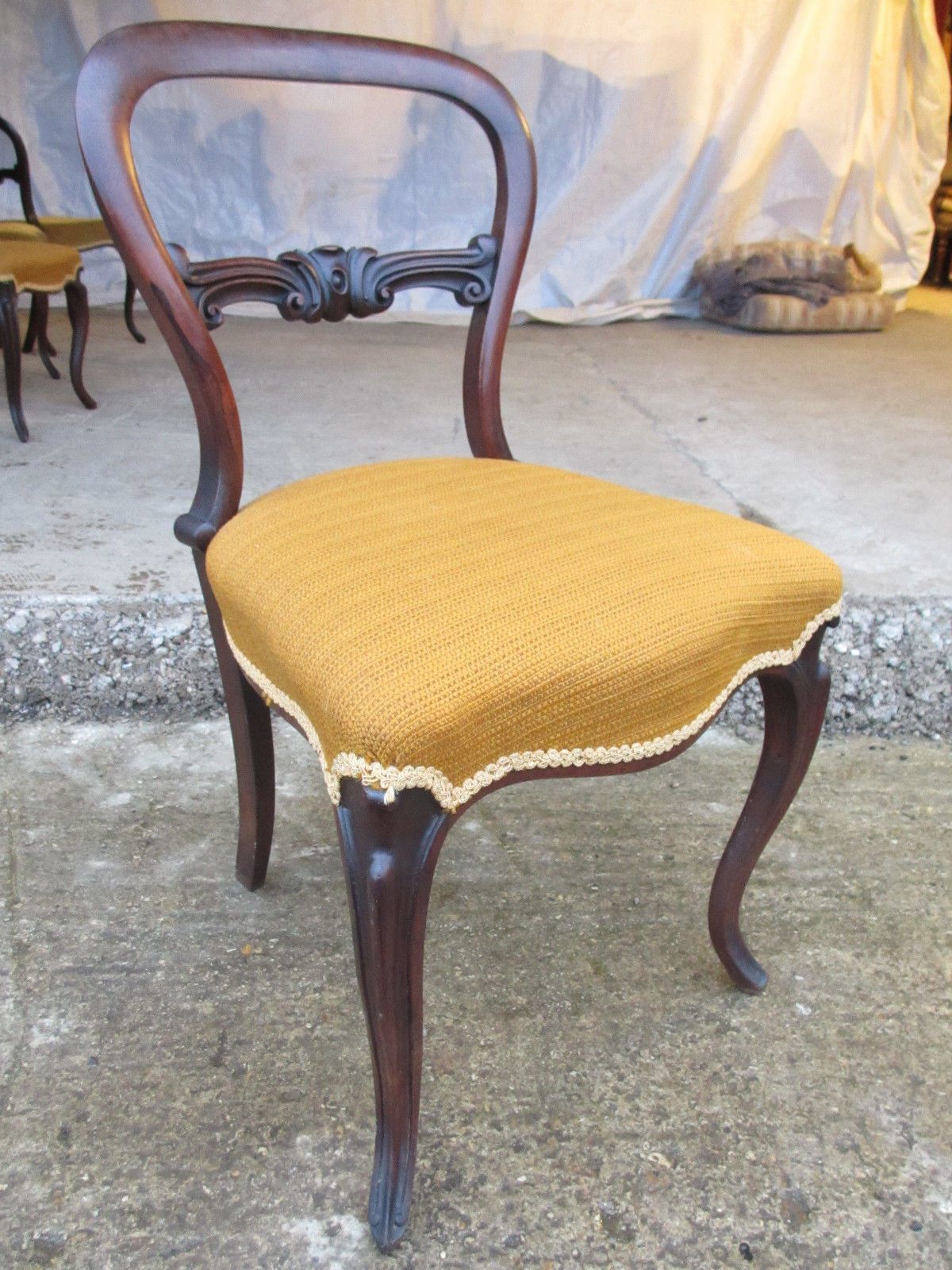 Set Of 6 Victorian Rosewood Balloon Back Dining Chairs Serpentine Seats photo Furniture