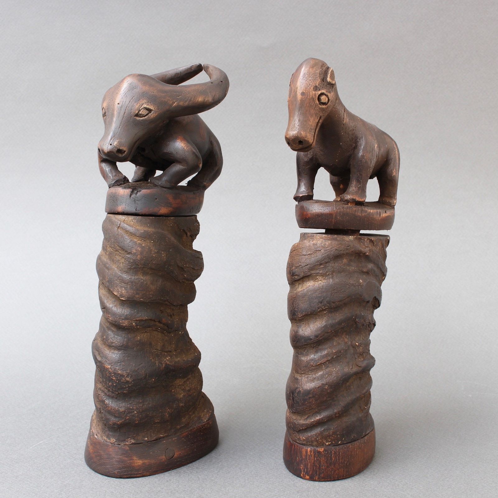 Pair Of Water Buffalo Horn And Wood Lime Powder Holders For Betel Nut From Timor Island (Circa 1970s)