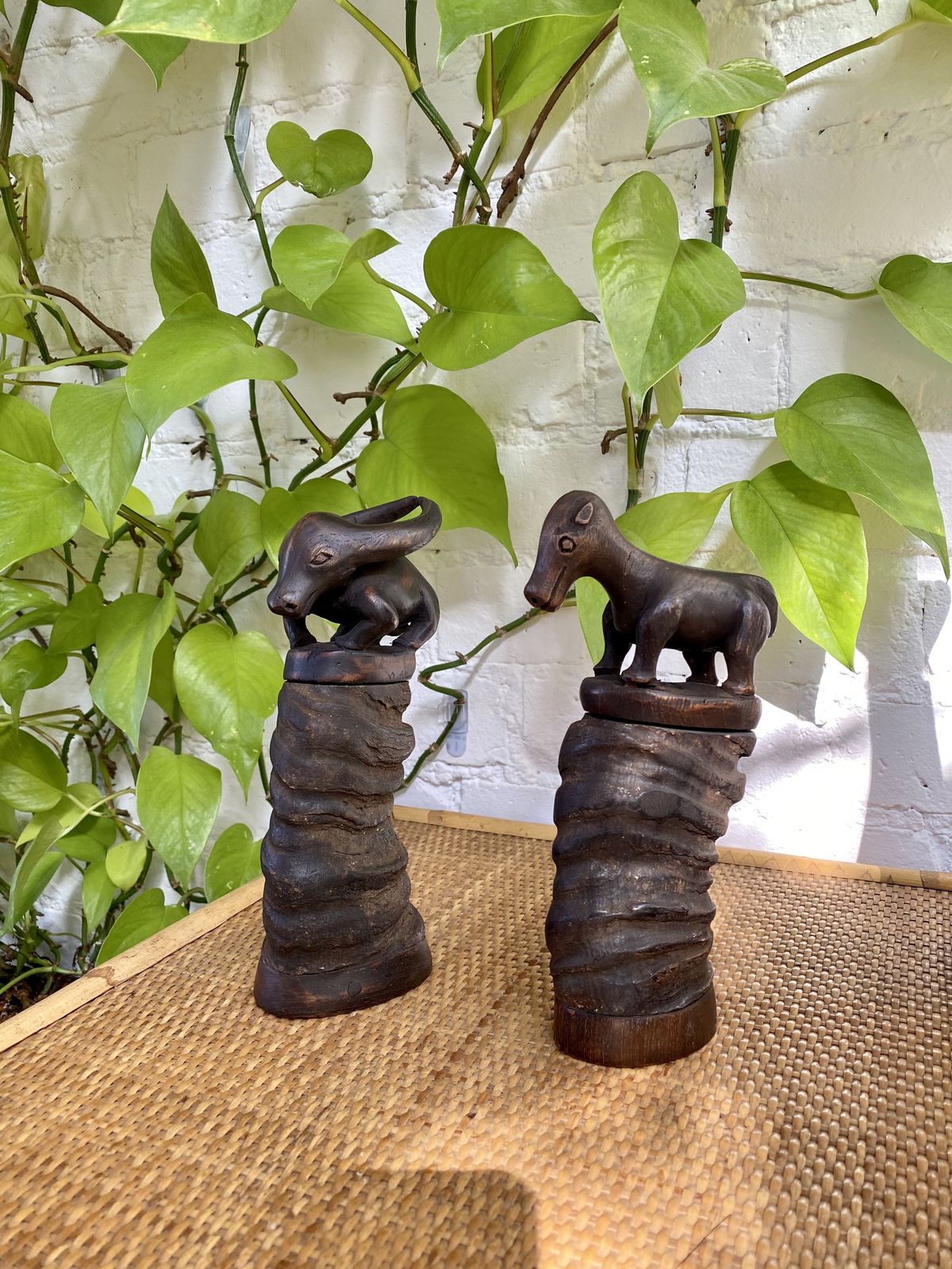 Pair Of Water Buffalo Horn And Wood Lime Powder Holders For Betel Nut From Timor Island (Circa 1970s) photo furniture