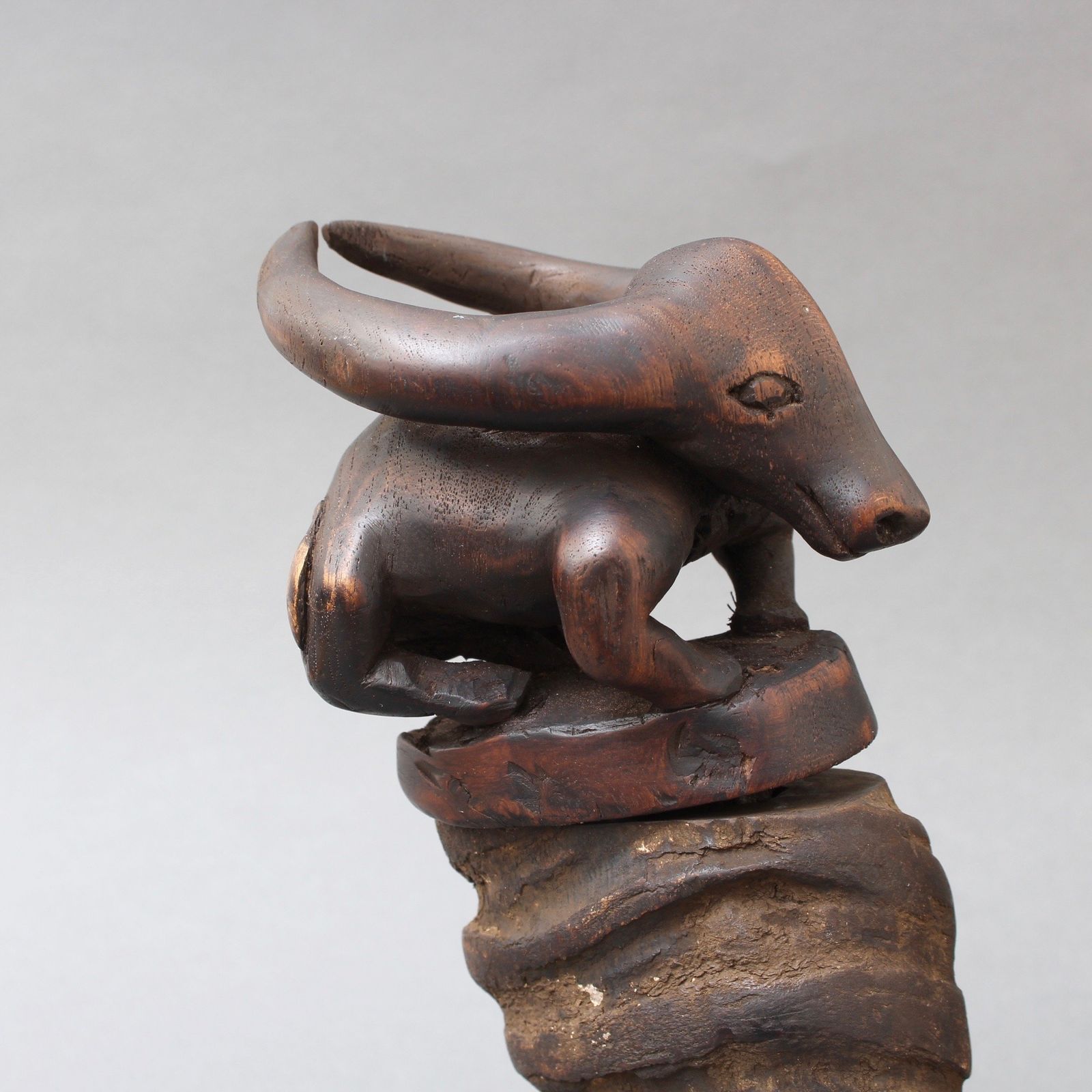photo furniture Pair Of Water Buffalo Horn And Wood Lime Powder Holders For Betel Nut From Timor Island (Circa 1970s)