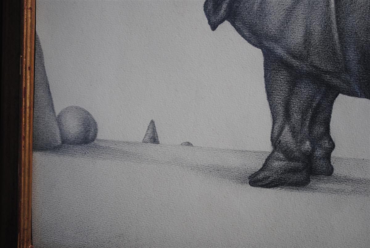 Animal Pencil Drawing On Framed Rhinoceros Paper photo buy