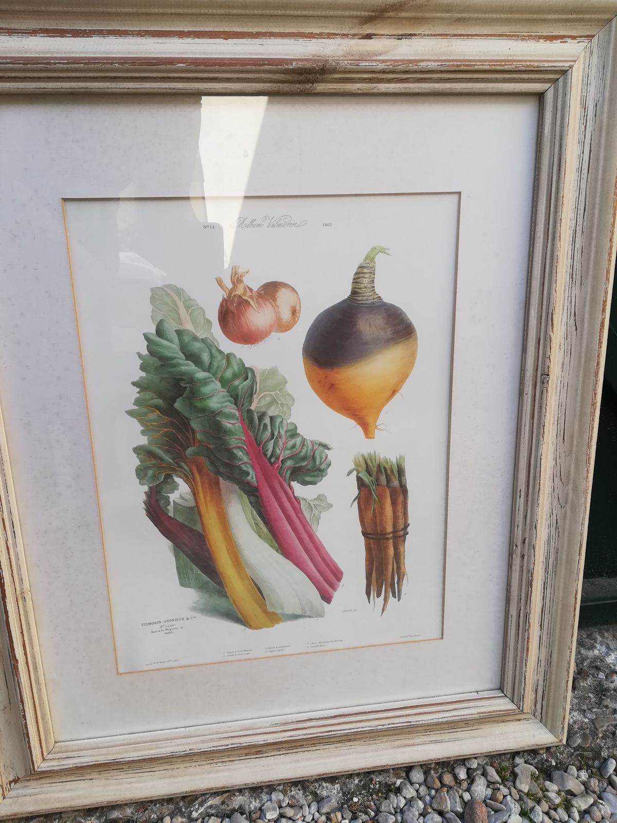 Framed Botanical Plank, Vegetables photo furniture