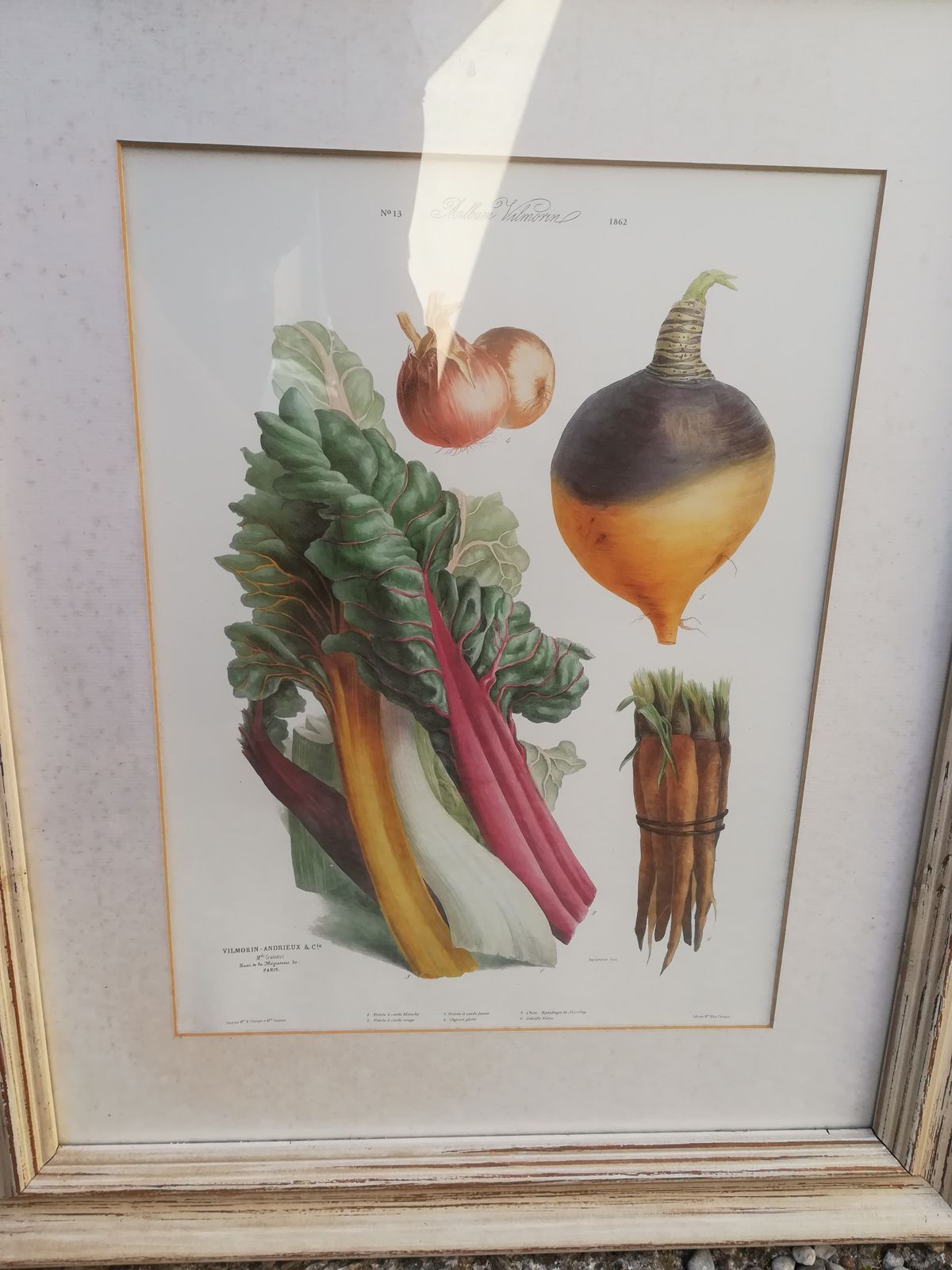 Framed Botanical Plank, Vegetables photo vinterior