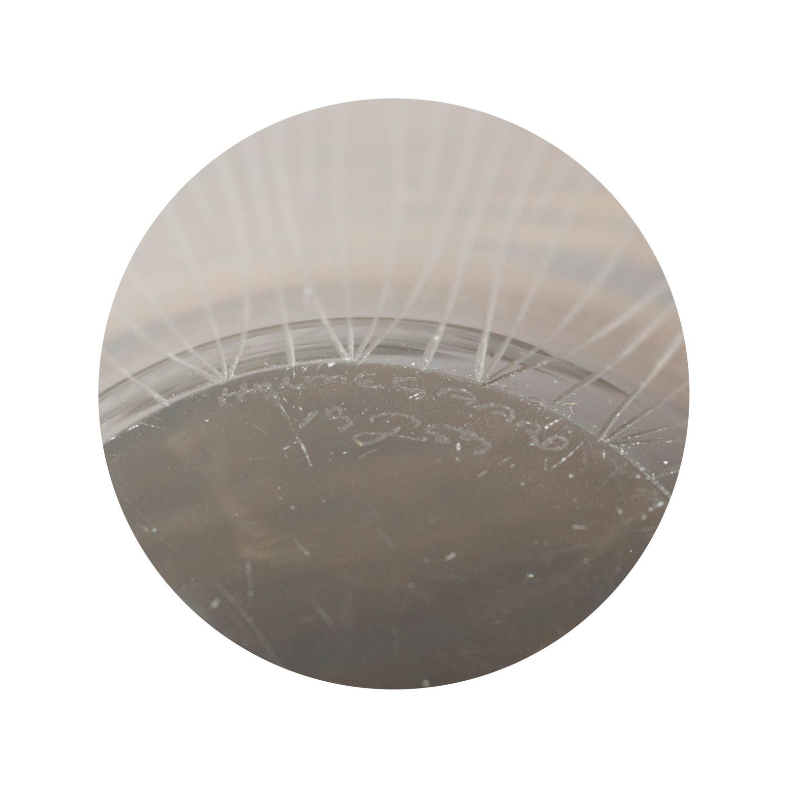 Smoky Selandia Dish By Per Lütken photo Home Decor