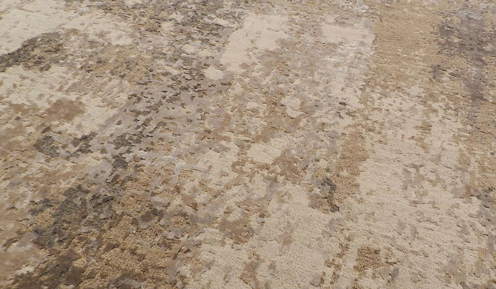 Alfombra Rajasthan Carpet Van Zenza Contemporary Art & Deco photo furniture