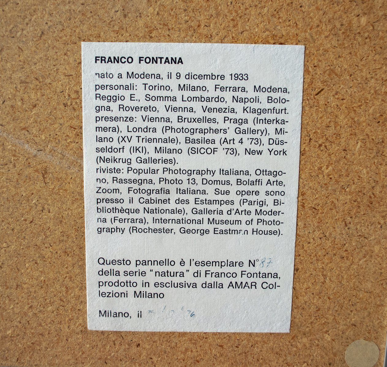Vintage Italiaanse Natura Print Van Franco Fontana Voor Amar Collezioni Milano, 1976 photo buy