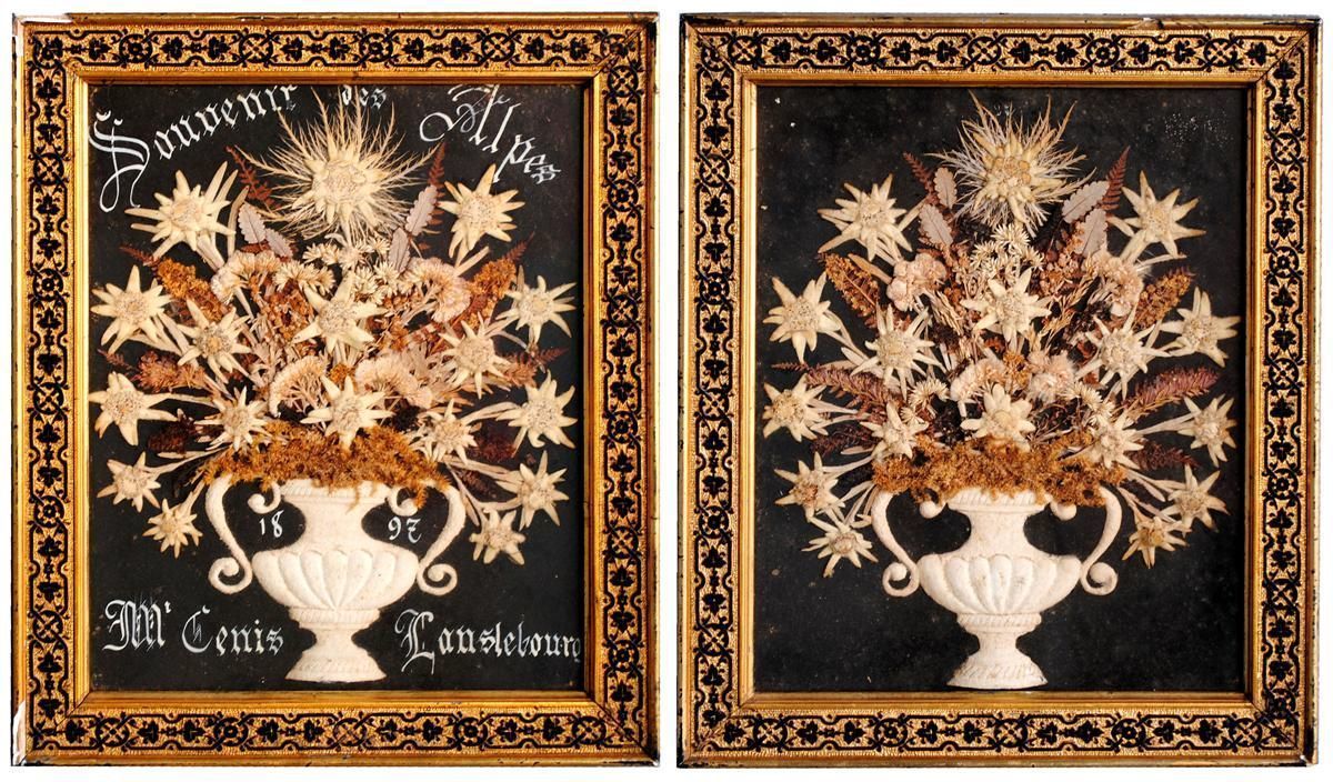 Souvenir Des Alpes Composition Of Dried Flowers Late 19th Century