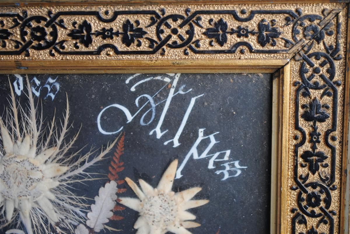 Souvenir Des Alpes Composition Of Dried Flowers Late 19th Century photo buy