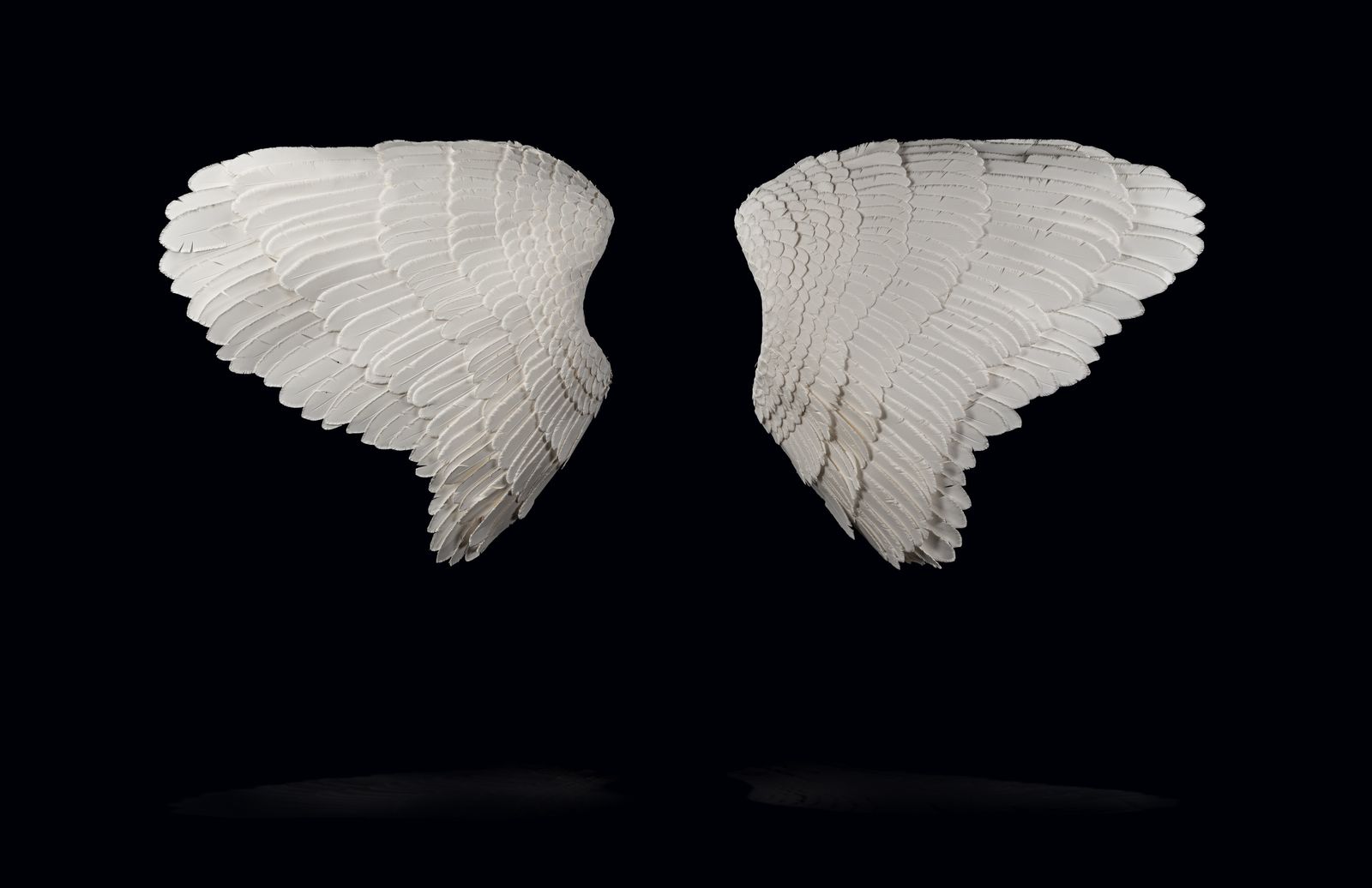 The Angel Wings. Stunning & Unique Pair Of Handmade Paper Feather Wall Art Sculptures. photo furniture