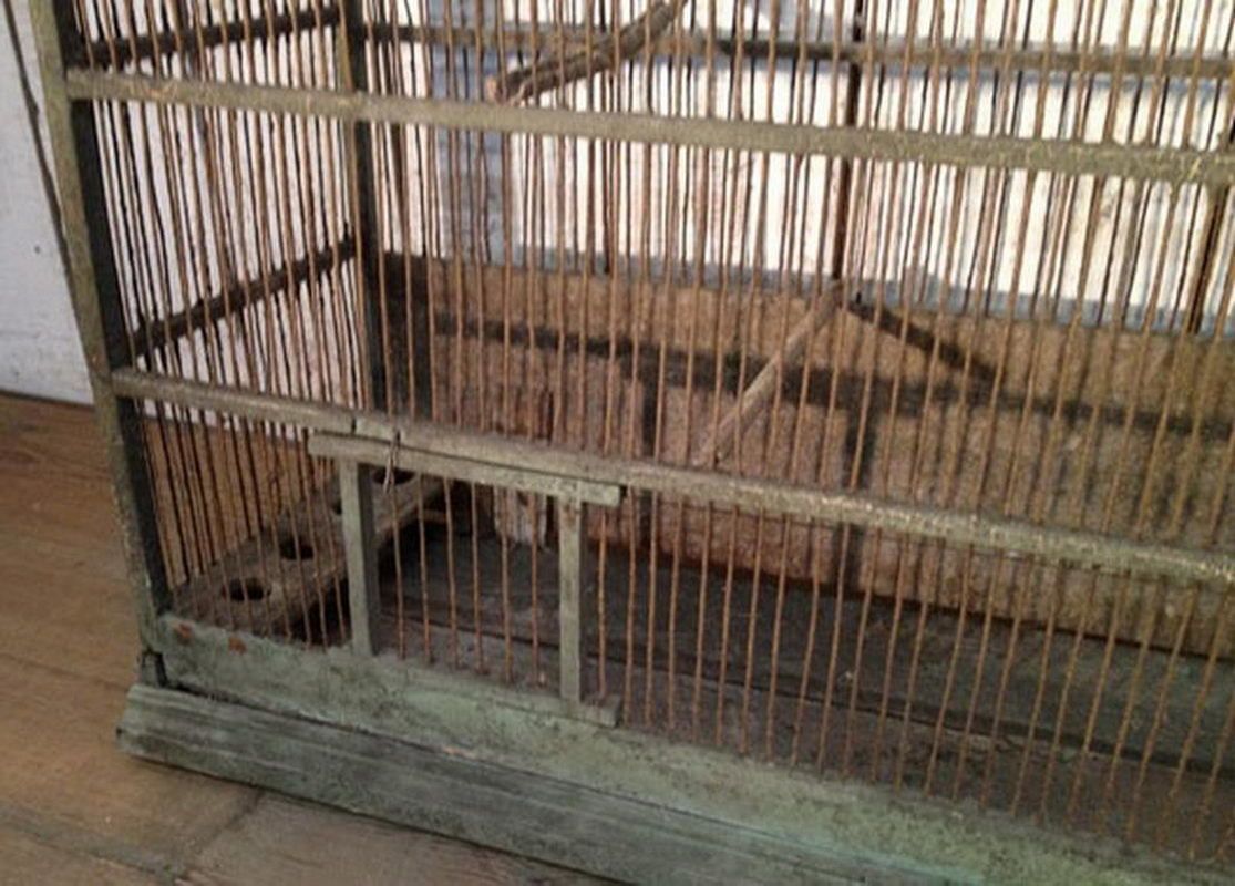 Long Birdcage. Original Paint. Circa 1920 photo for sale