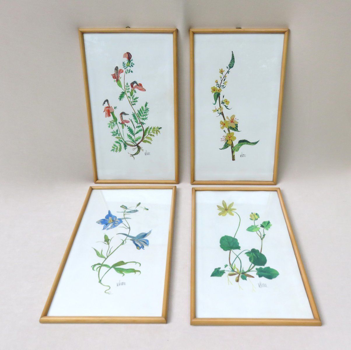 Flowers Watercolor By W. Kratz, 1950s, Set Of 4