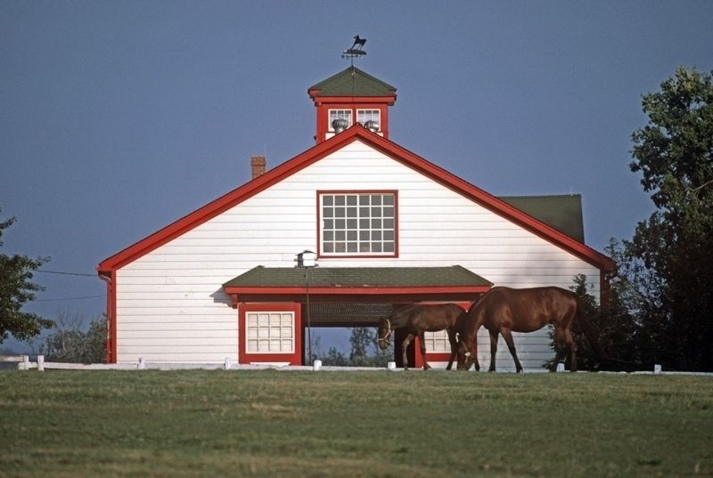'Thoroughbred Stables' Alain Le Garsmeur Limited Edition Oversize Archival Pigment Print Framed In White