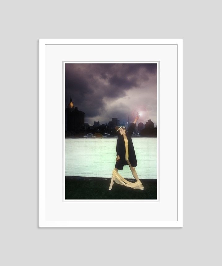 ' Blondie On The Roof ' 1978 By Martyn Goddard Giclée Print Framed In White photo furniture