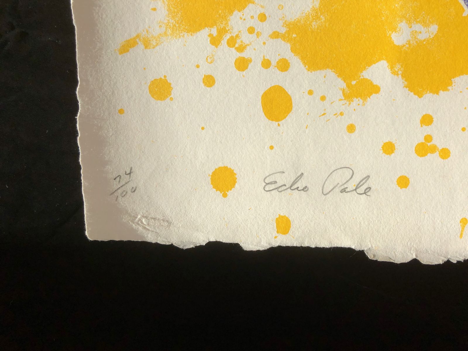 Echo Pale, From Mirrors Of The Mind Portfolio By James Rosenquist 1975 photo for sale