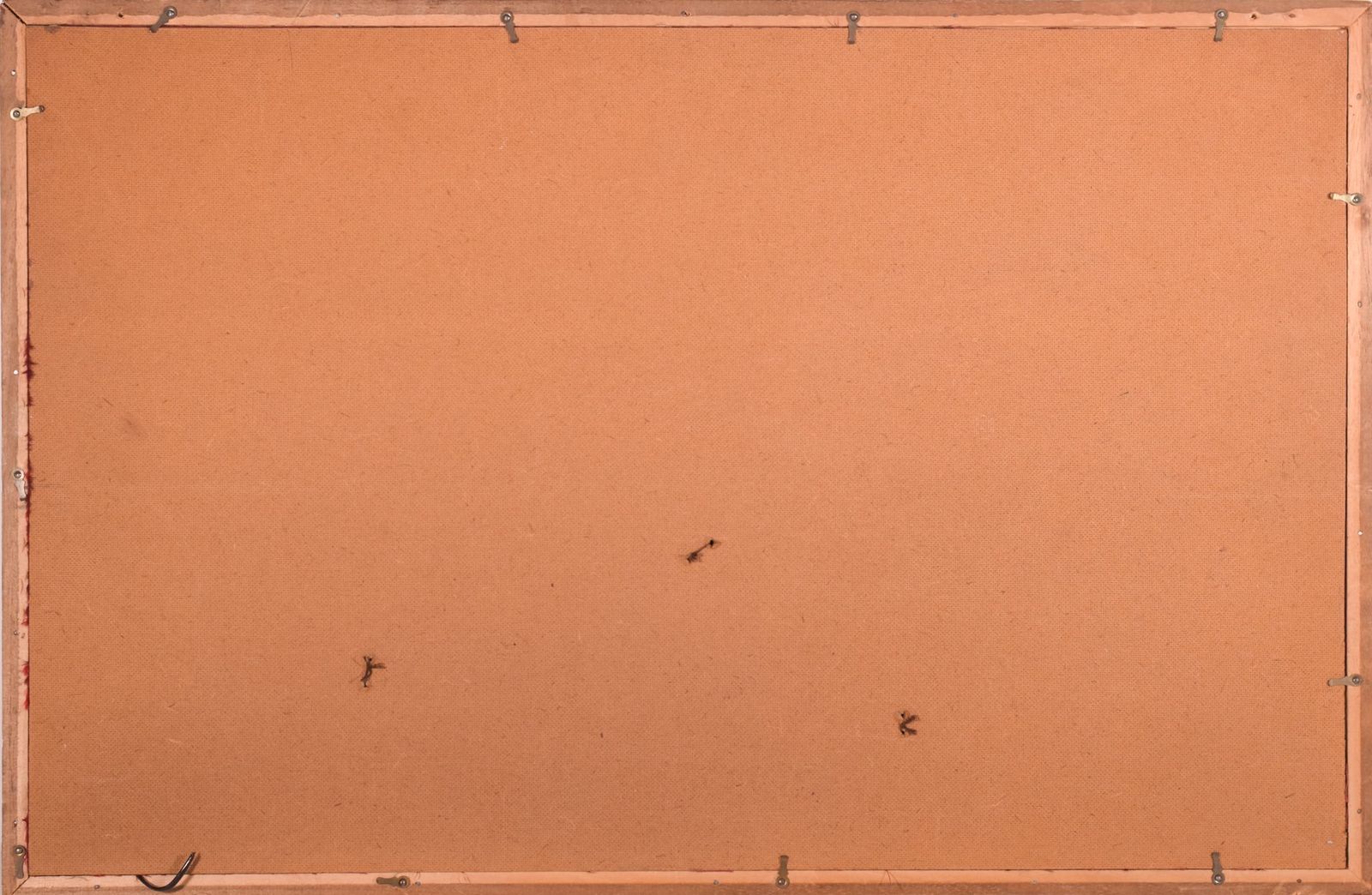 Ingelijste Struisvogelveren Waaier photo vintage