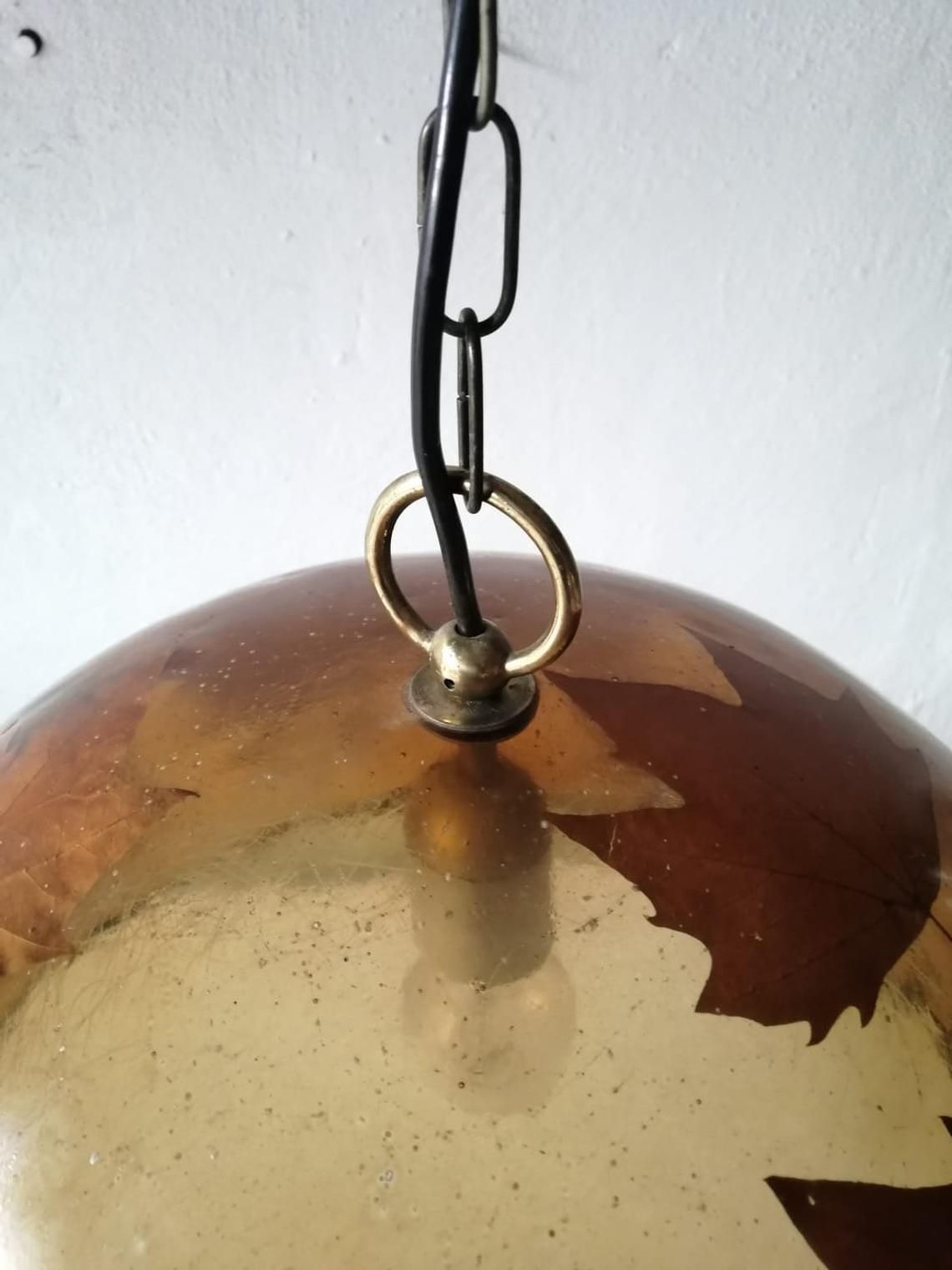 Wonderful Resin Shade With Real Leafs Italian Pendant Lamp, 1970s Italy photo vintage