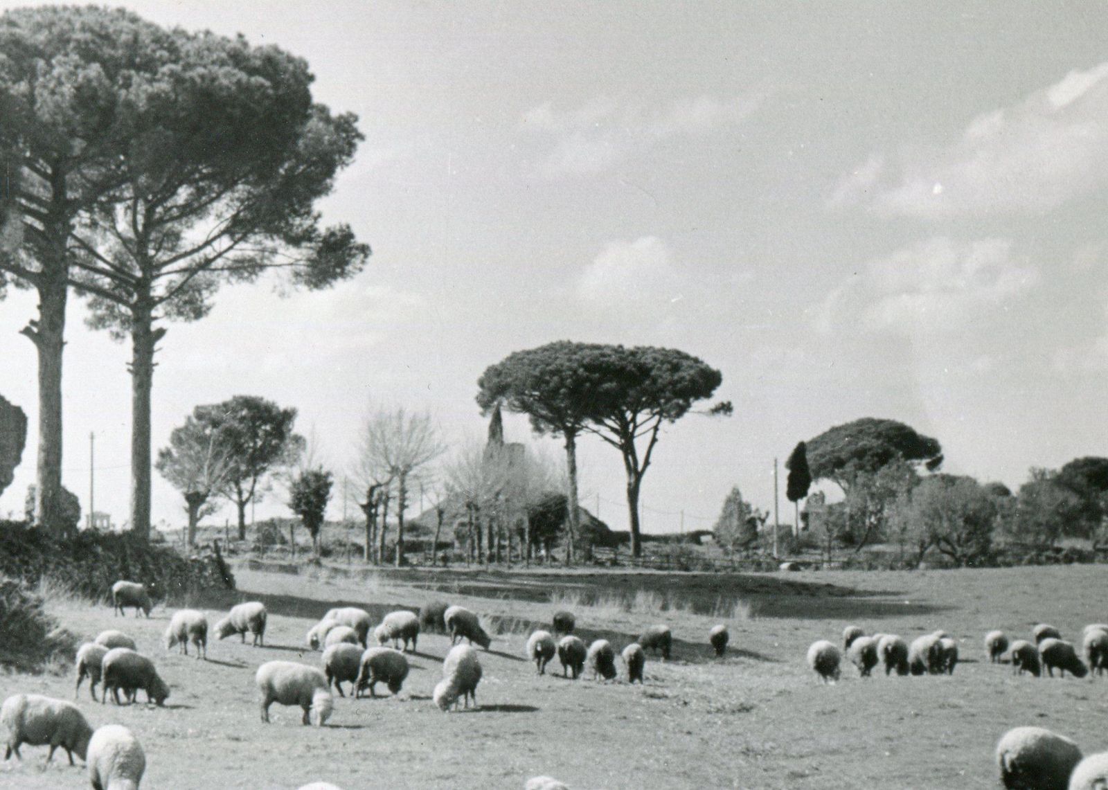 Erich Andres Rome Via Appia 1954 1954 photo for sale