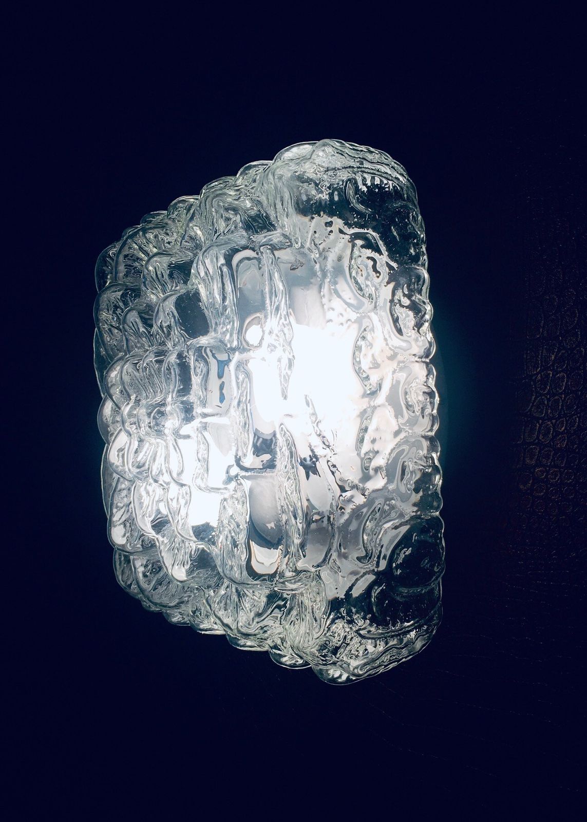 photo for sale Midcentury Modern Design Flower Leaf Glass Sconce Wall Lamp By Rzb Leuchten 1960s