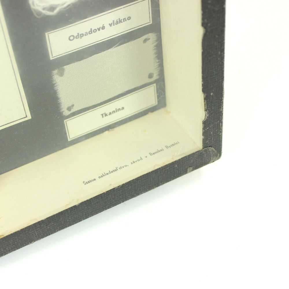 Rare School Model Of Silk Moth Life, Wall Art, Czechoslovakia, Circa 1960 photo buy