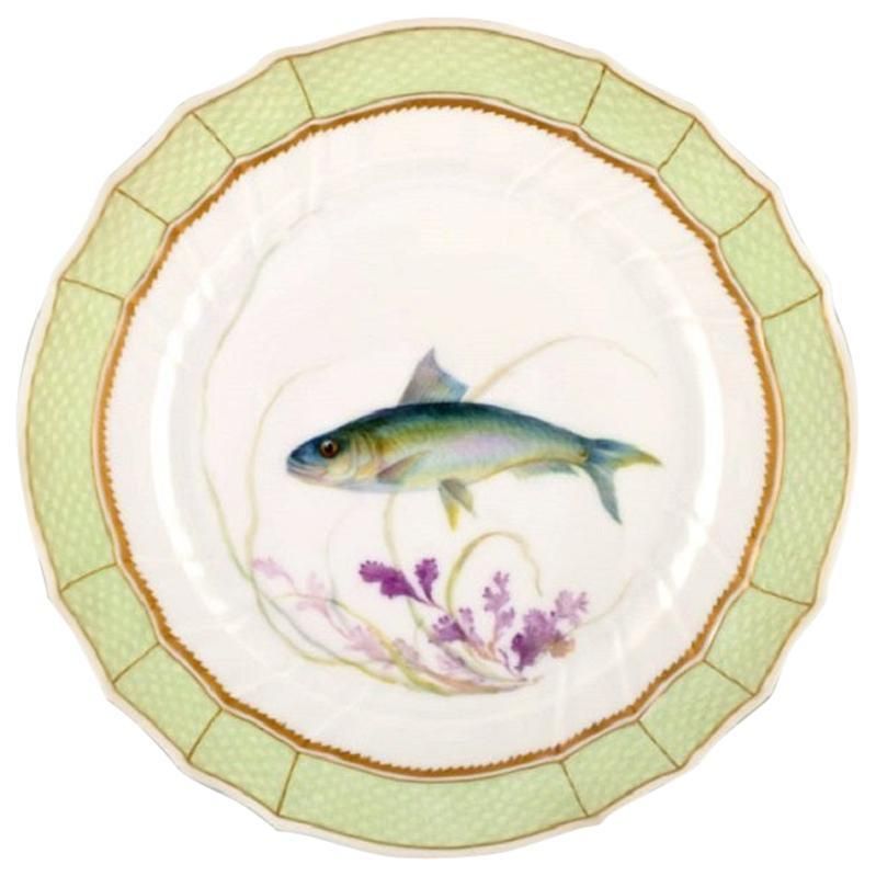 Royal Copenhagen Fish Plate With Green Edge, Gold Decoration And Fish Motif