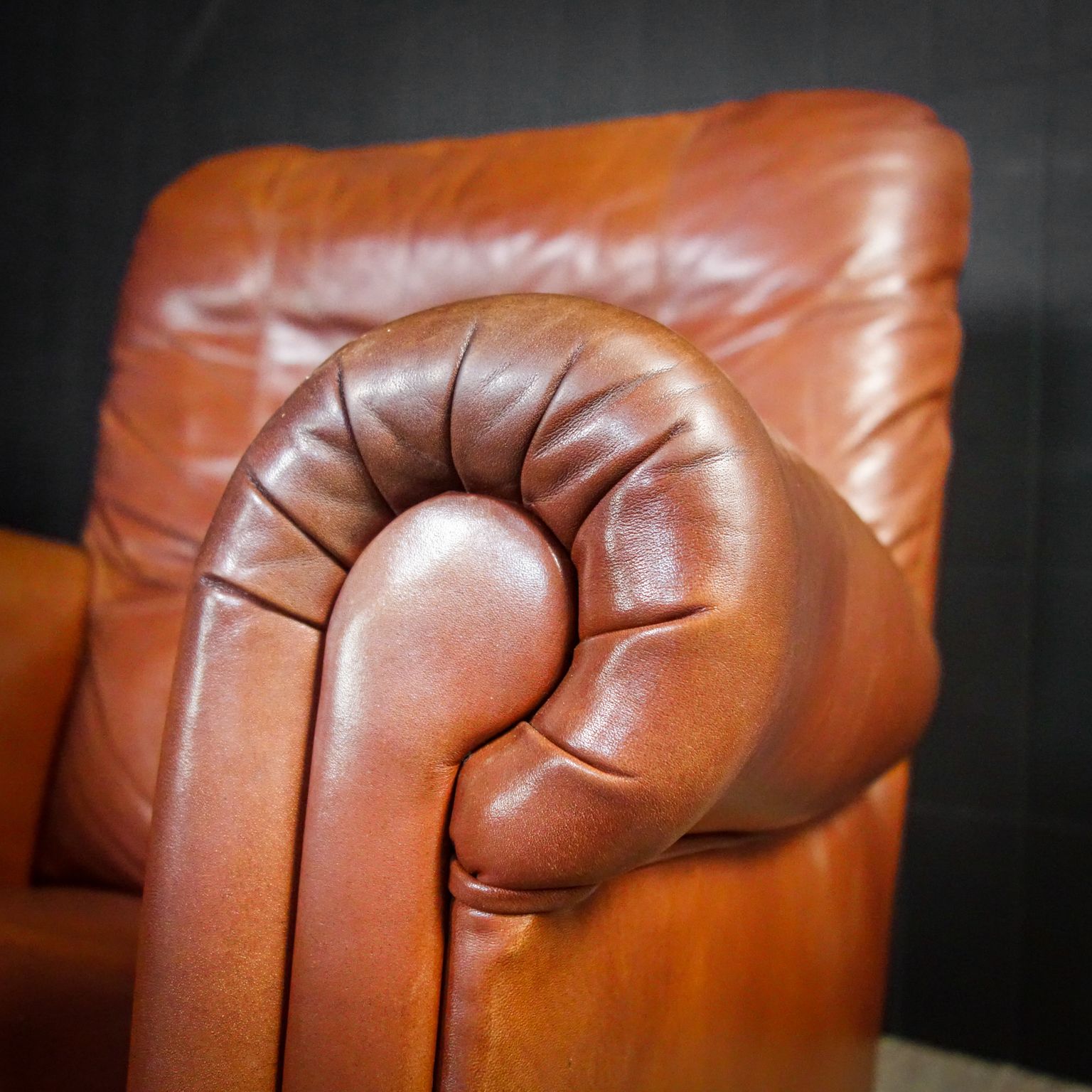 Leren Fauteuils Cognacbruin photo Meubels