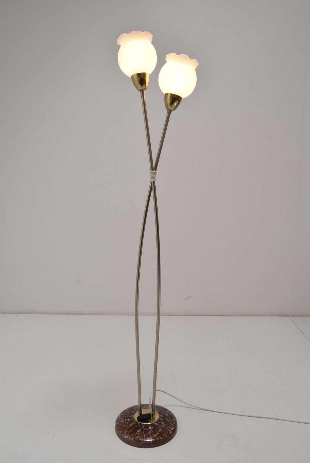 Mid Century Floor Lamp By Kamenicky Senov,1960’s. photo for sale