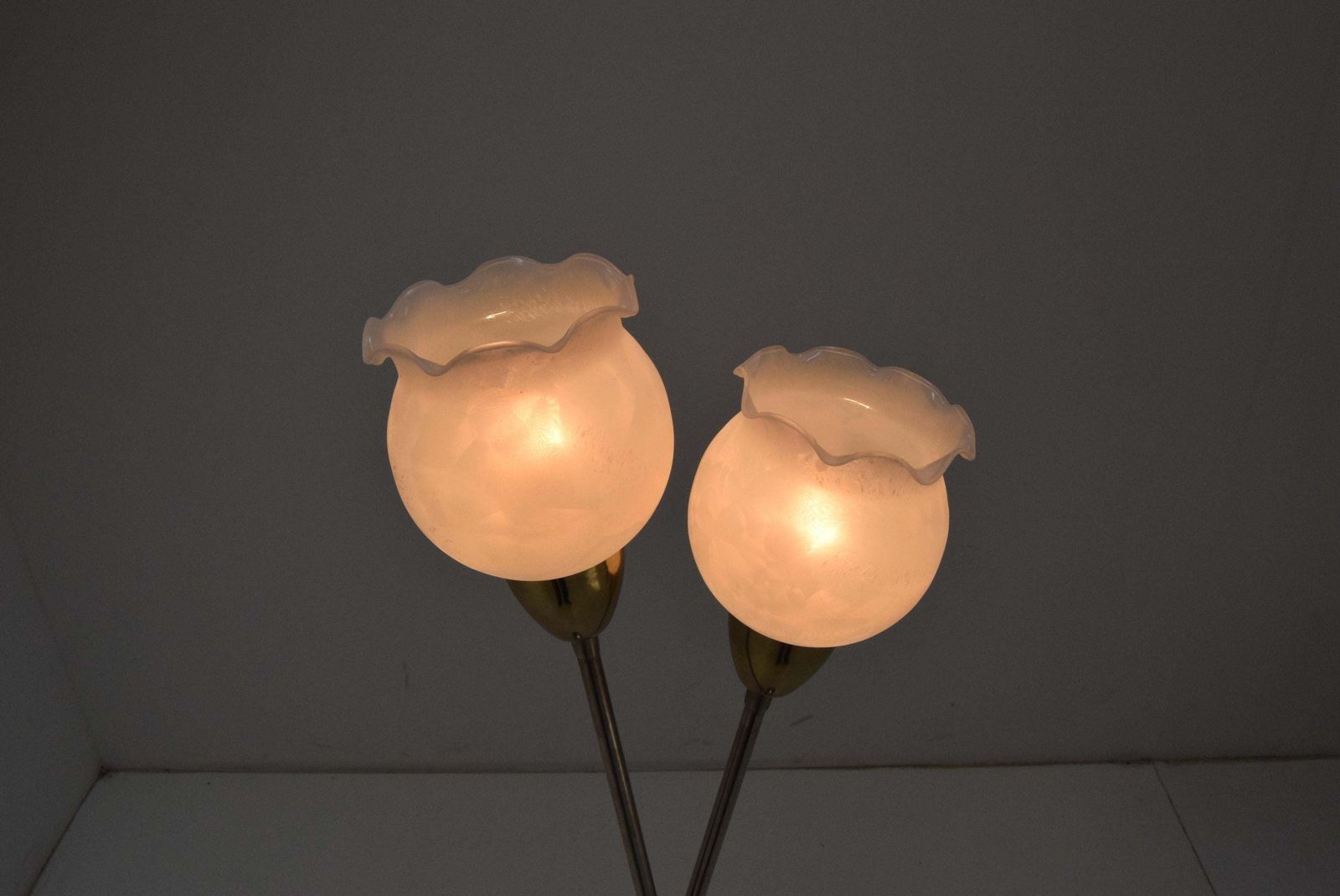 Mid Century Floor Lamp By Kamenicky Senov,1960’s. photo Lighting