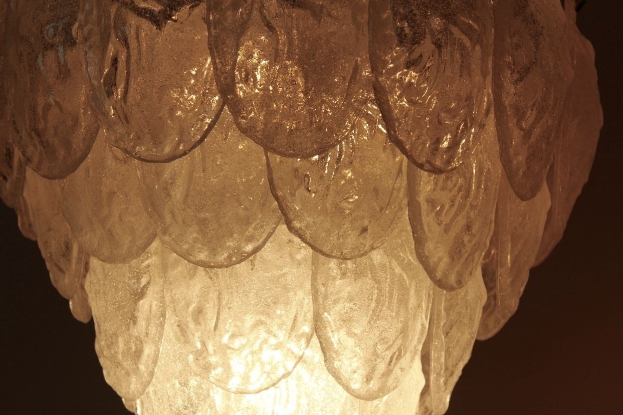 Murano Frosted Glass Leaves Chandelier From A.V. Mazzega, 1970s photo vintage