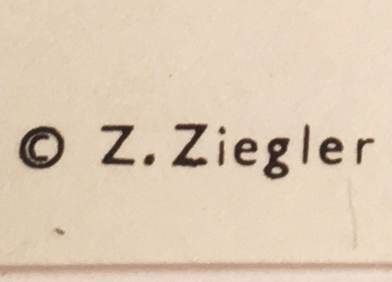 Original Film Poster, Shot In The Back, Zdeněk Ziegler, 1983, Genuine Czech Vintage Print photo for sale