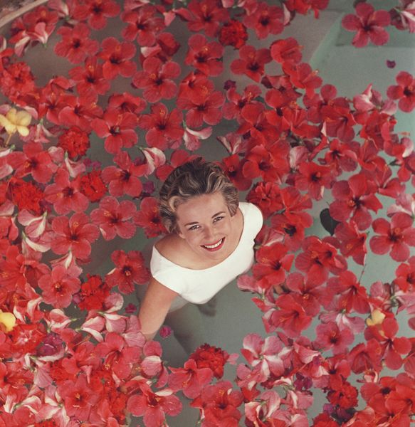 ' Hibiscus Flowers ' By Slim Aarons Oversized C Type