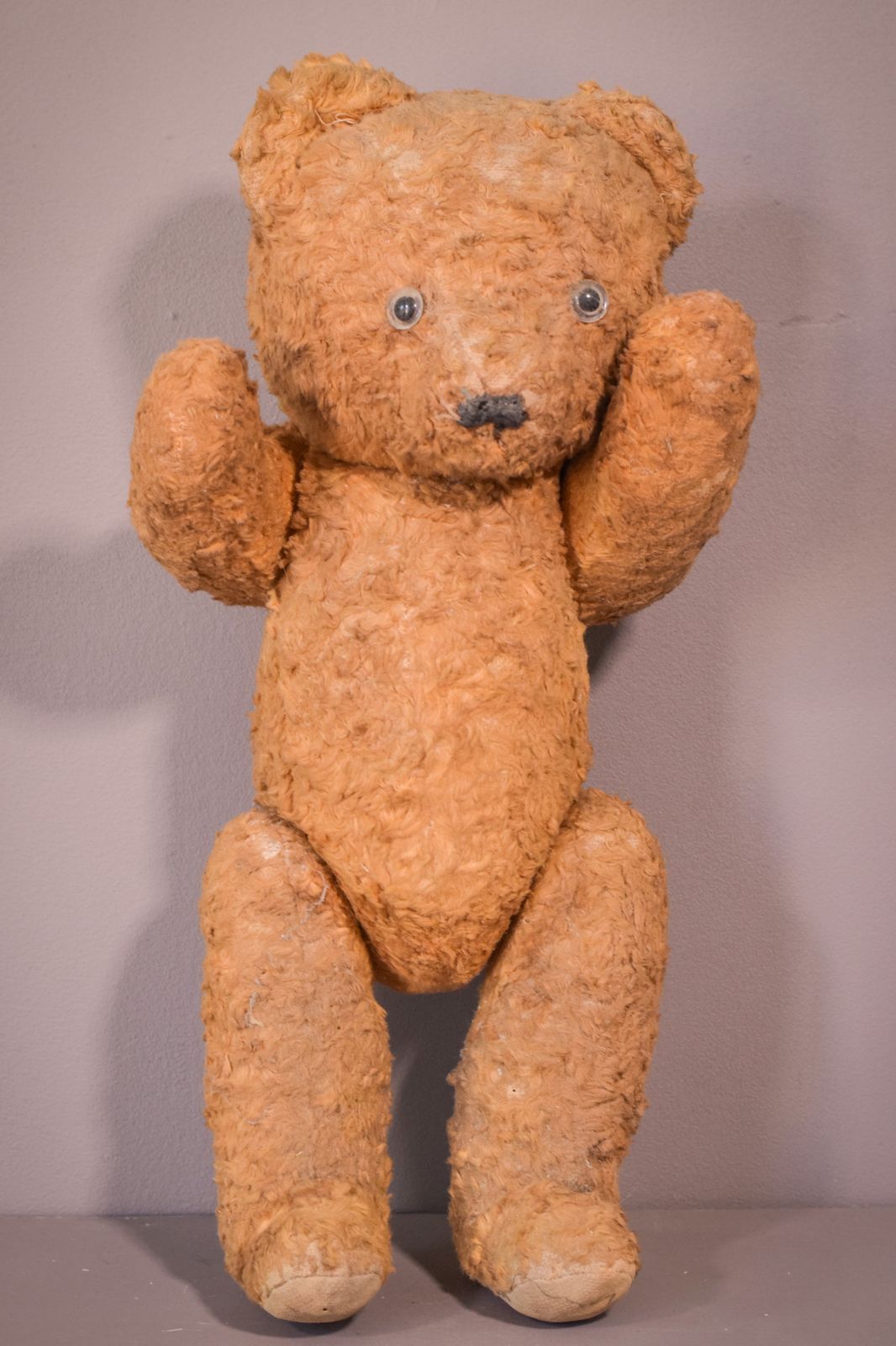 Teddy, Antique photo vinterior