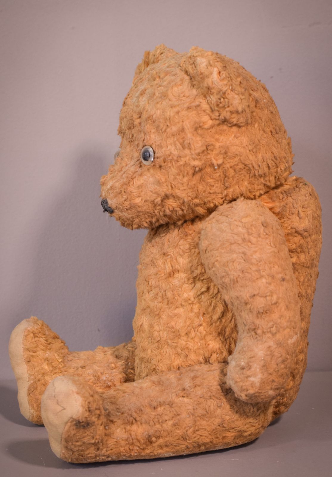 Teddy, Antique photo buy