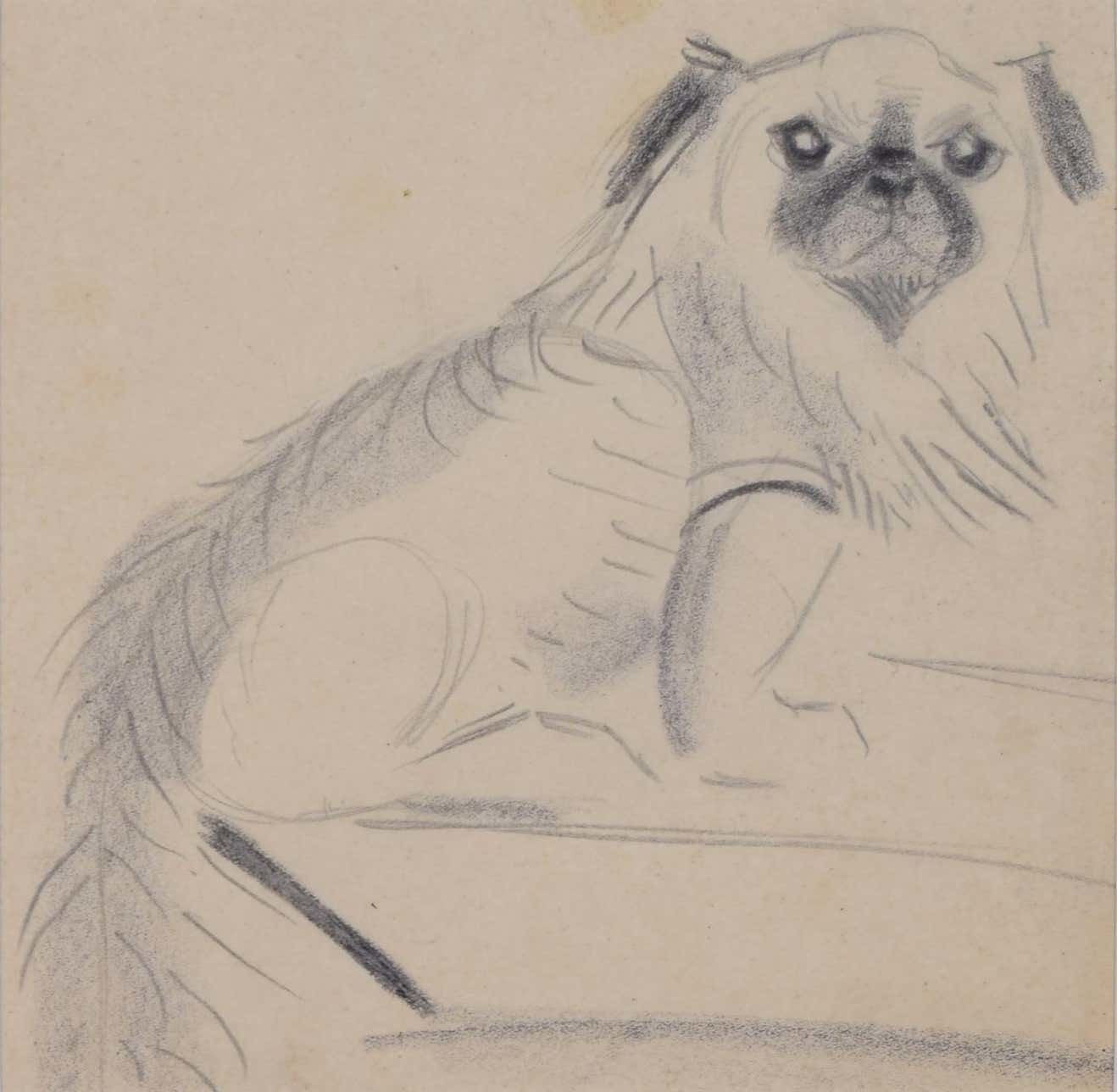 Clifford Ellis, 'William The Pug On The Table',  Pencil Sketch C. 1950 photo furniture
