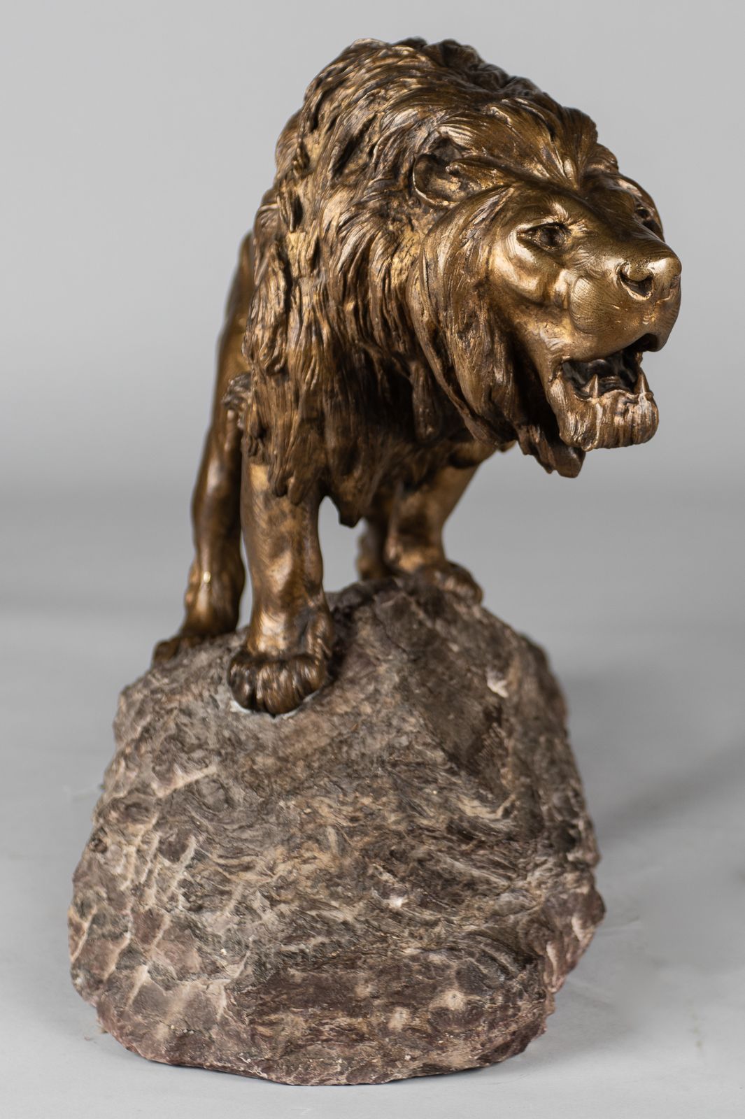 A Stunning French Large Bronze Sculpture Of A Roaring Lion Set On A Marble Base. Signed Le Courtier photo for sale