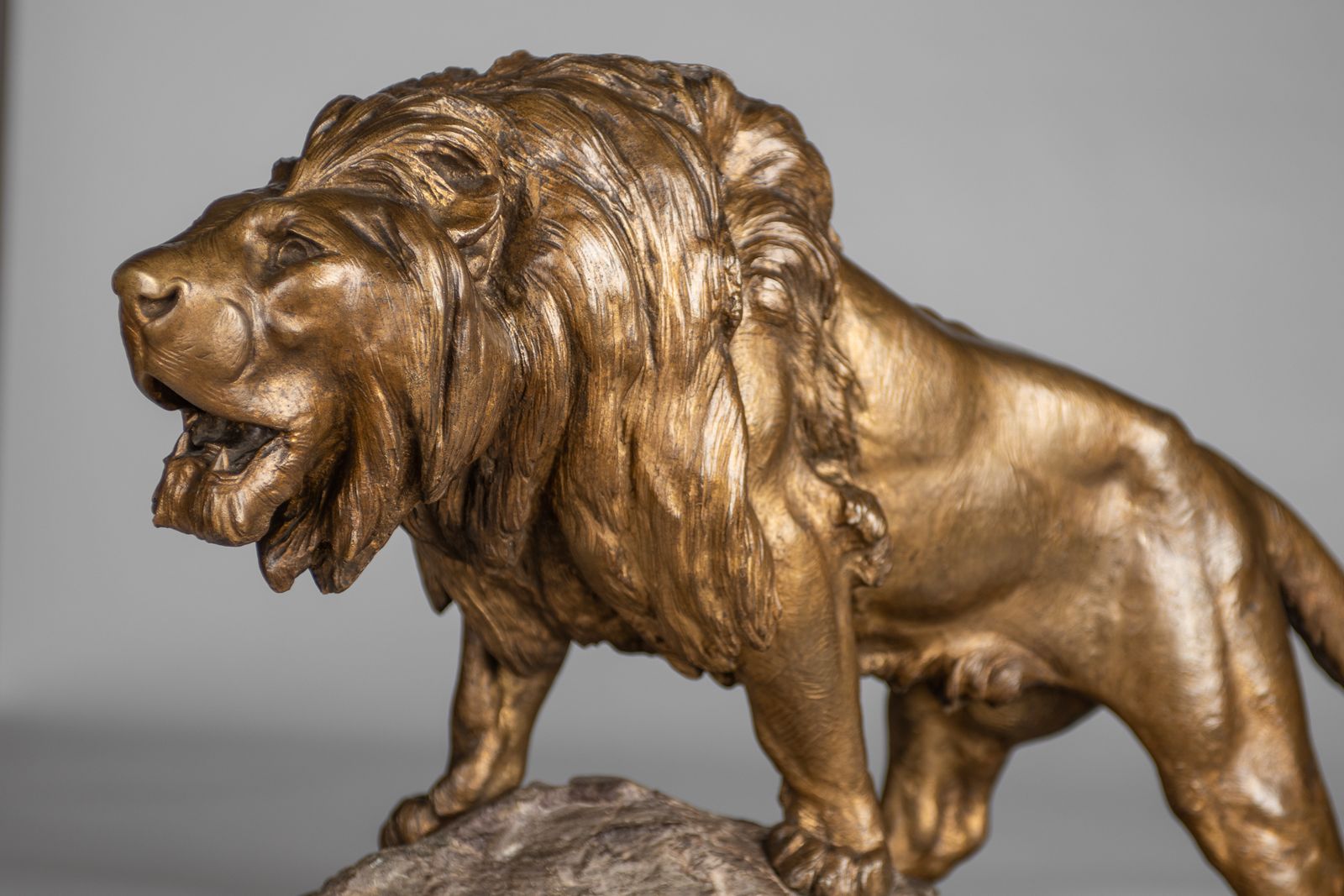 A Stunning French Large Bronze Sculpture Of A Roaring Lion Set On A Marble Base. Signed Le Courtier photo vinterior