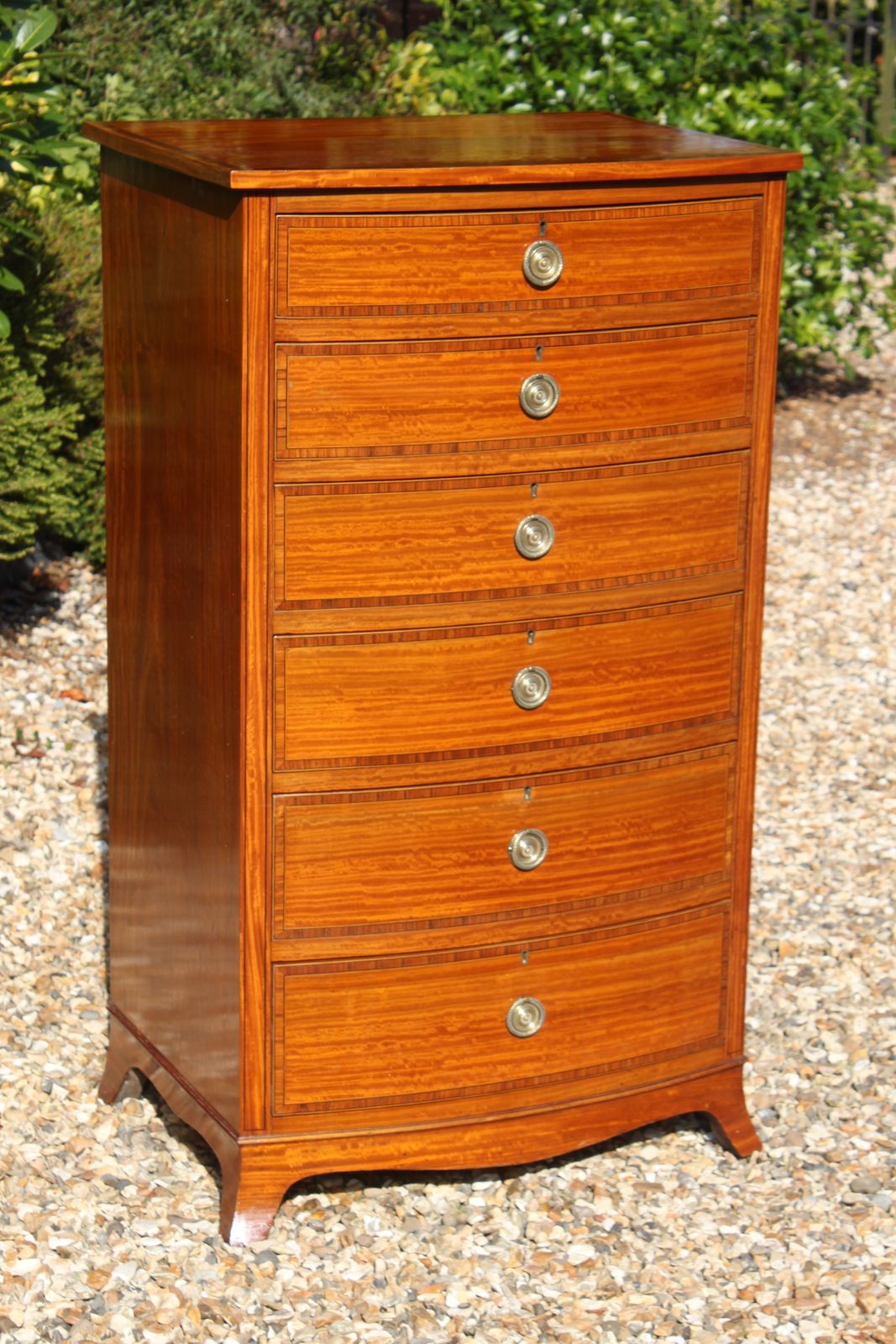 Sheraton Revival Satinwood Chest photo furniture