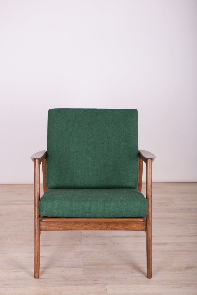 300 139 Armchair From Swarzędzka Factory, 1960s photo for sale