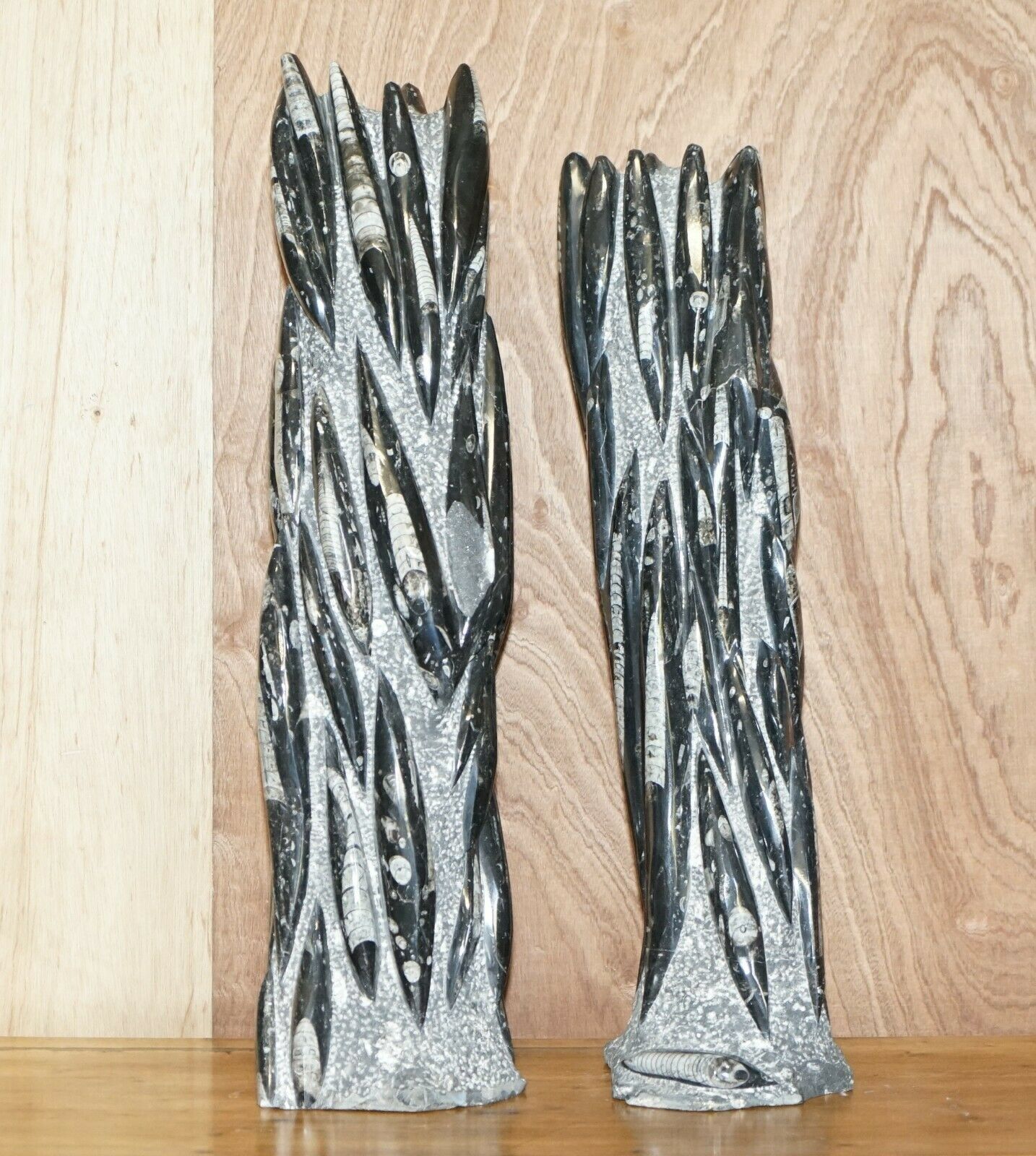 Pair Of Large 395 Million Year Old Fossilized Orthoceras Marble Finish Statues