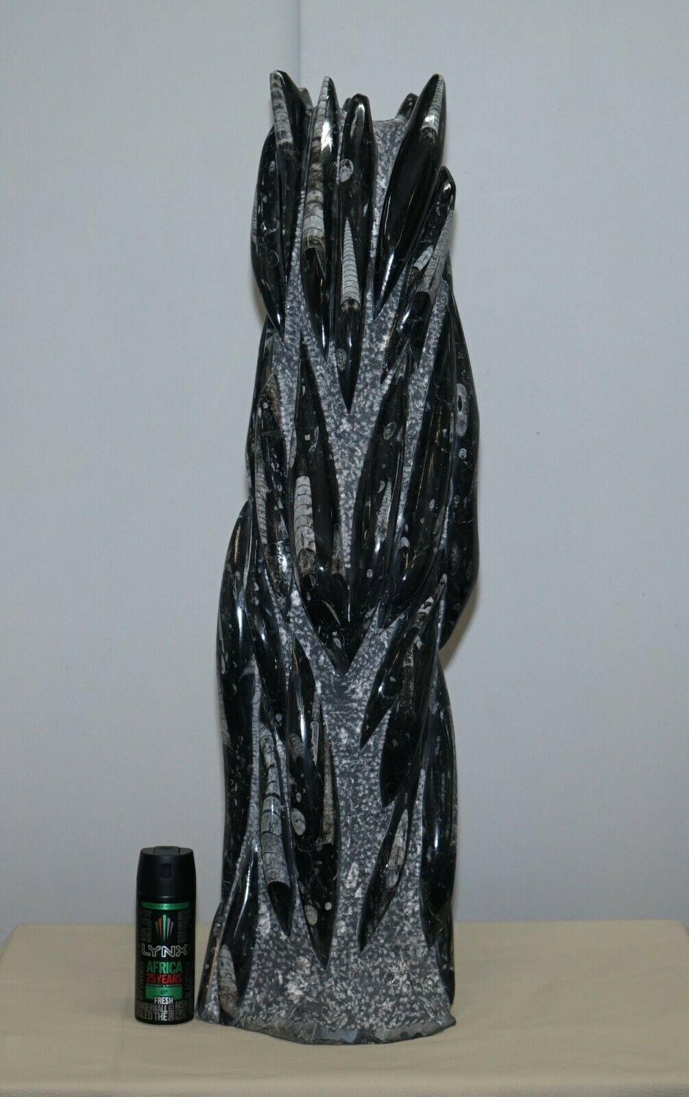 Pair Of Large 395 Million Year Old Fossilized Orthoceras Marble Finish Statues photo for sale